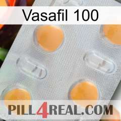 Vasafil 100 24